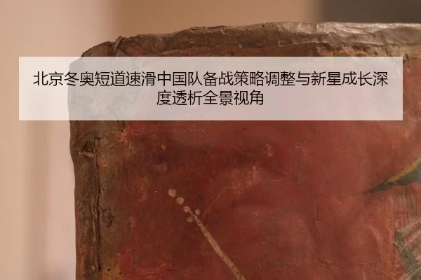 bei-jing-dong-ao-duan-dao-su-hua-zhong-guo-dui-bei-zhan-ce-lve-tiao-zheng-yu-xin-xing-cheng-zhang-shen-du-tou-xi-quan-2-127.jpg